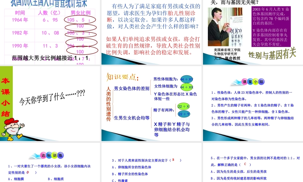 人的性别遗传课件人教版八年级下