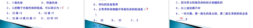 人的性别遗传课件人教版八年级下