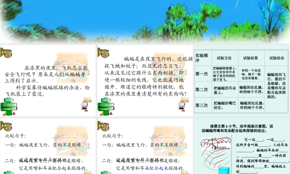 蝙蝠和雷达课件PPT下载_人教版新课标四年级语文下册课件