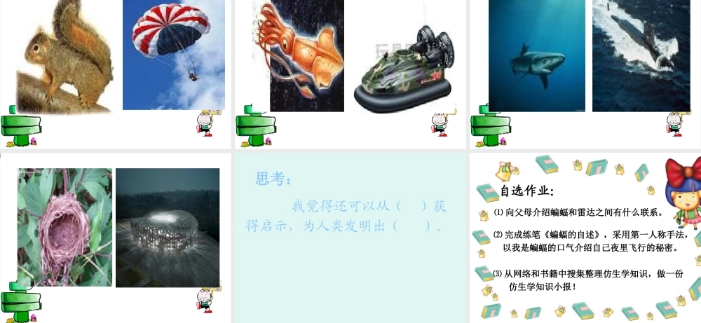 蝙蝠和雷达课件PPT下载_人教版新课标四年级语文下册课件