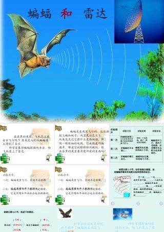 蝙蝠和雷达课件PPT下载_人教版新课标四年级语文下册课件