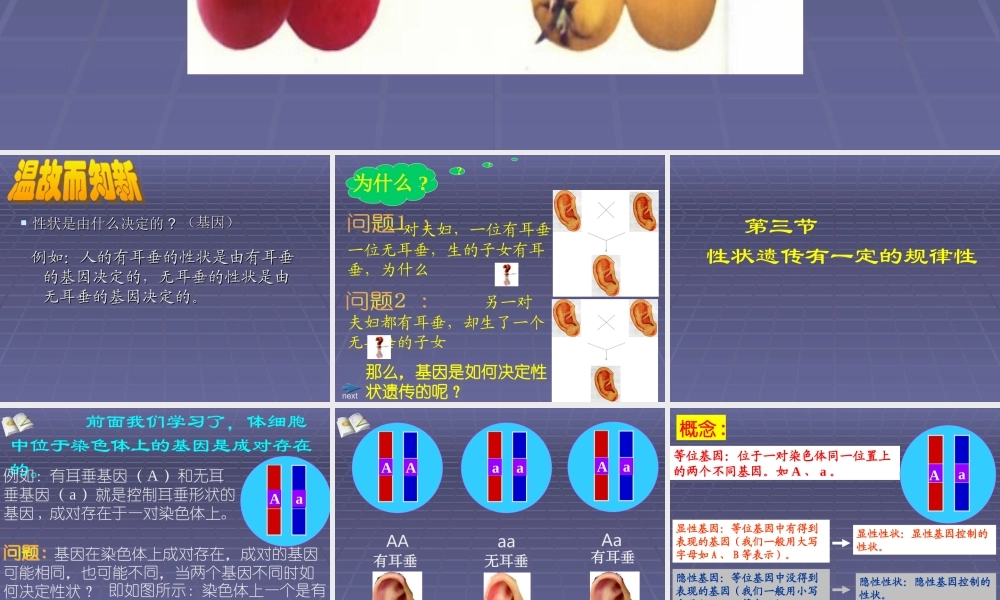 %20第20章第3节性状遗传有一定的规律性