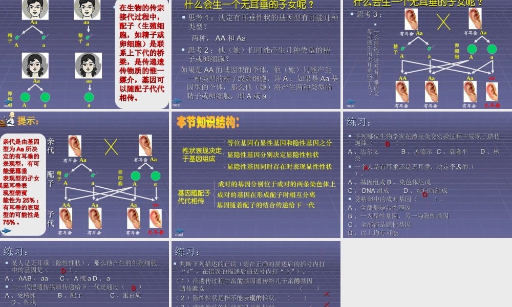%20第20章第3节性状遗传有一定的规律性