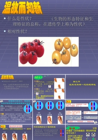 %20第20章第3节性状遗传有一定的规律性