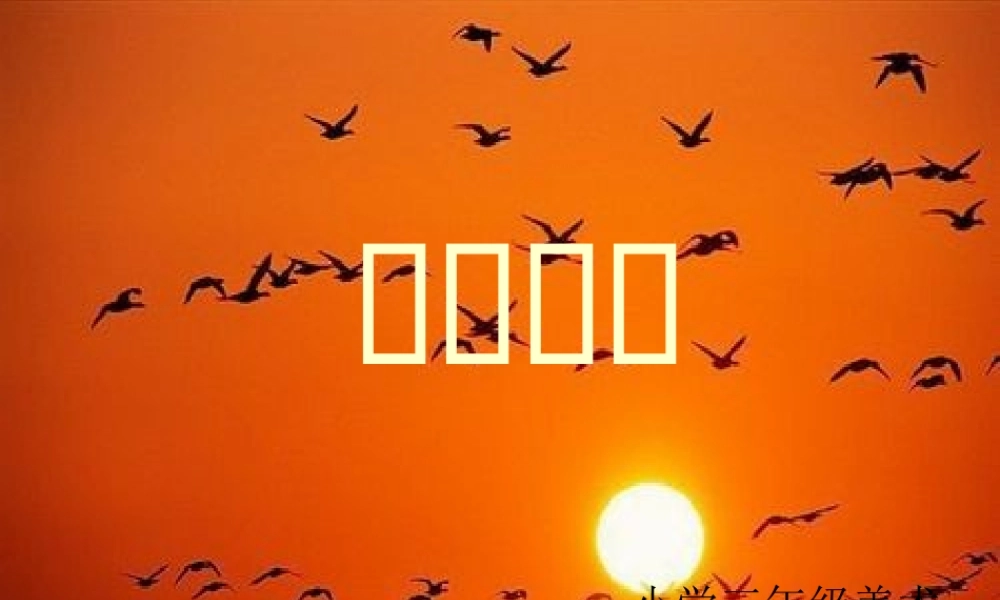 小学美术课件《橙色的画》