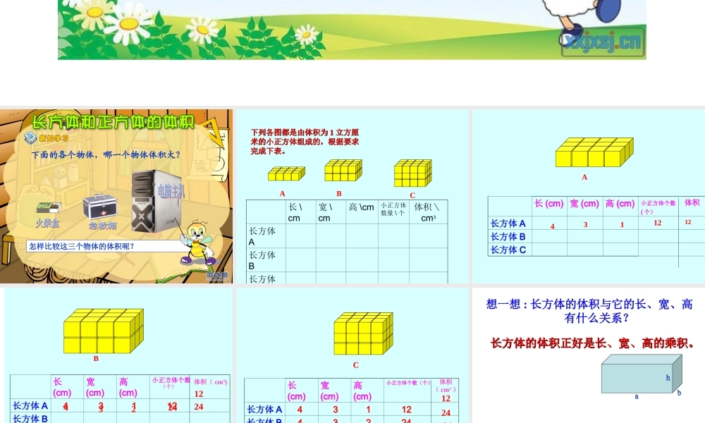 《长方体和正方体的体积》_课件 (2)