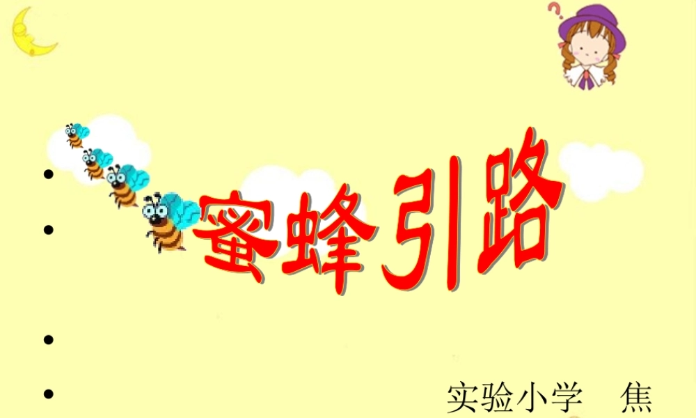 《蜜蜂引路》教学课件