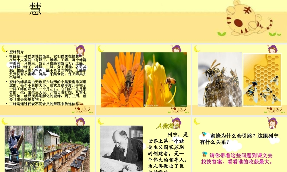 《蜜蜂引路》教学课件