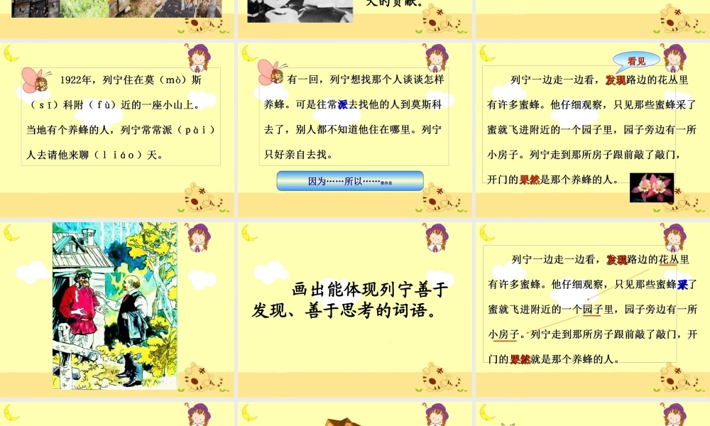 《蜜蜂引路》教学课件