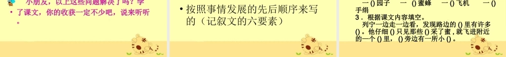 《蜜蜂引路》教学课件