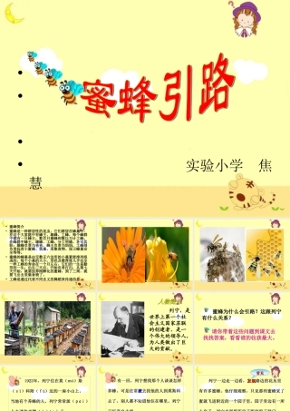 《蜜蜂引路》教学课件