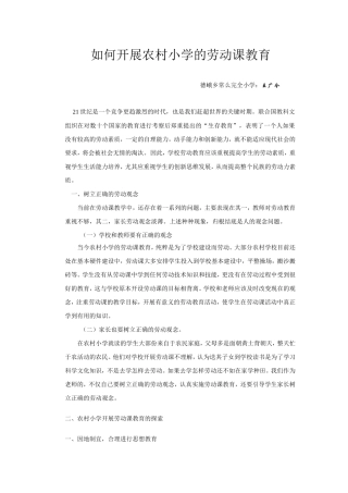 浅谈农村小学的劳动课教育