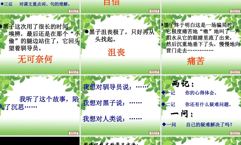 军犬黑子演示文稿