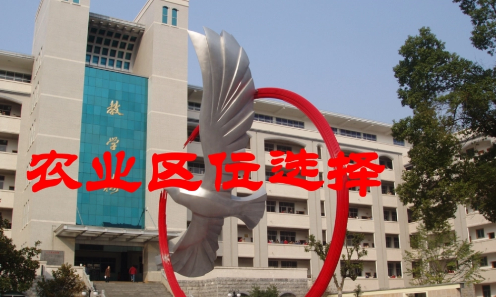 农业区位选择(公开课)