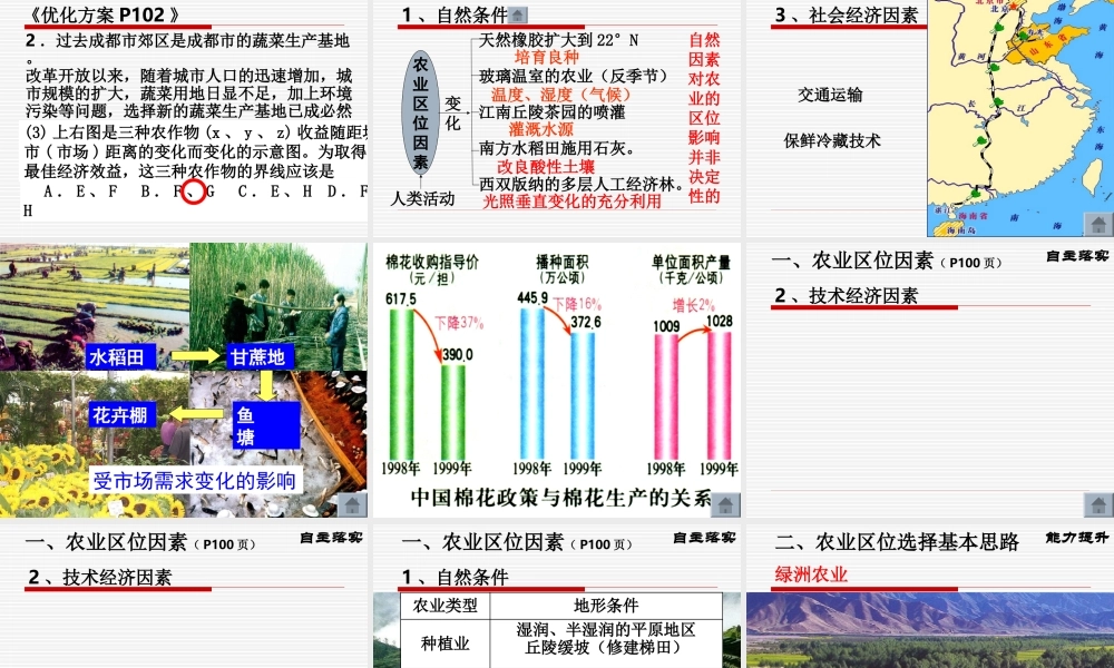 农业区位选择(公开课)