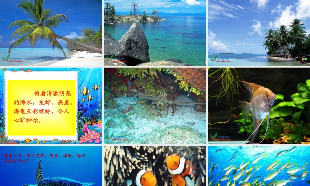 《美丽的南沙群岛》 (2)