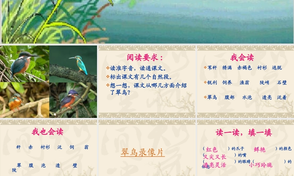 人教版三年级语文下册第二单元《翠鸟》