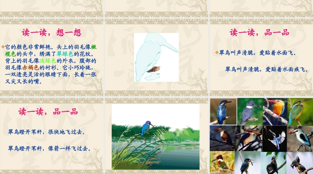 人教版三年级语文下册第二单元《翠鸟》