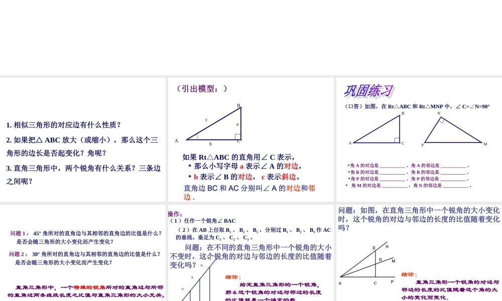 锐角的三角比的意义