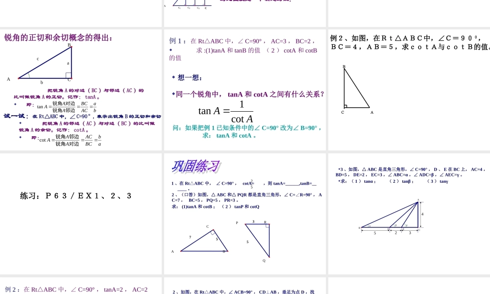 锐角的三角比的意义