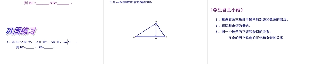 锐角的三角比的意义