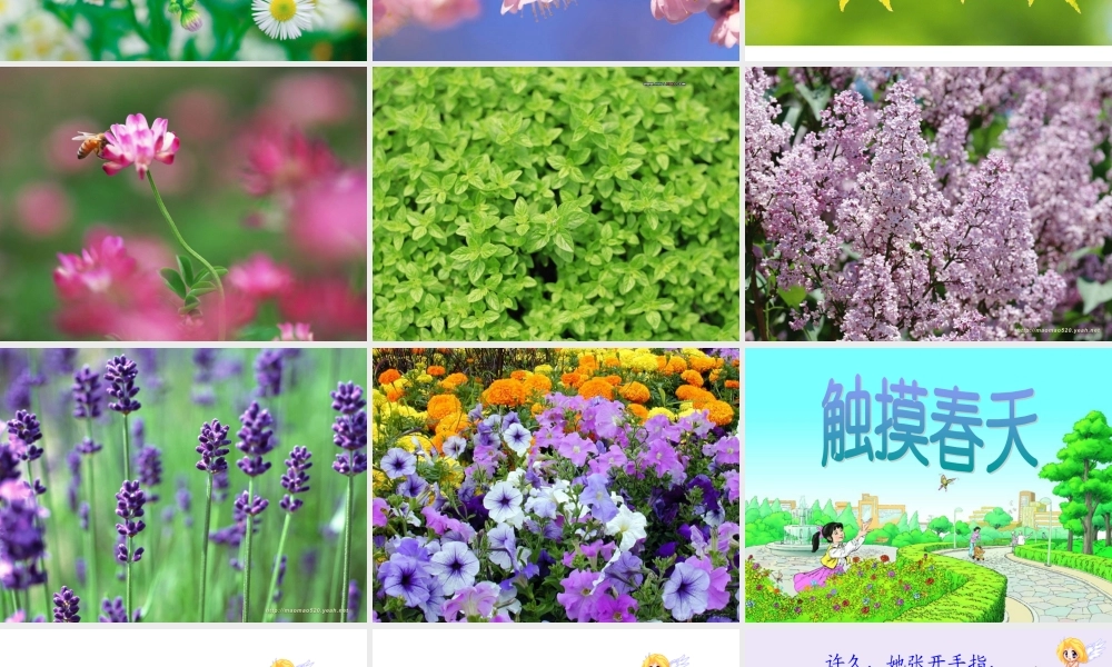 《触摸春天》课件 (2)