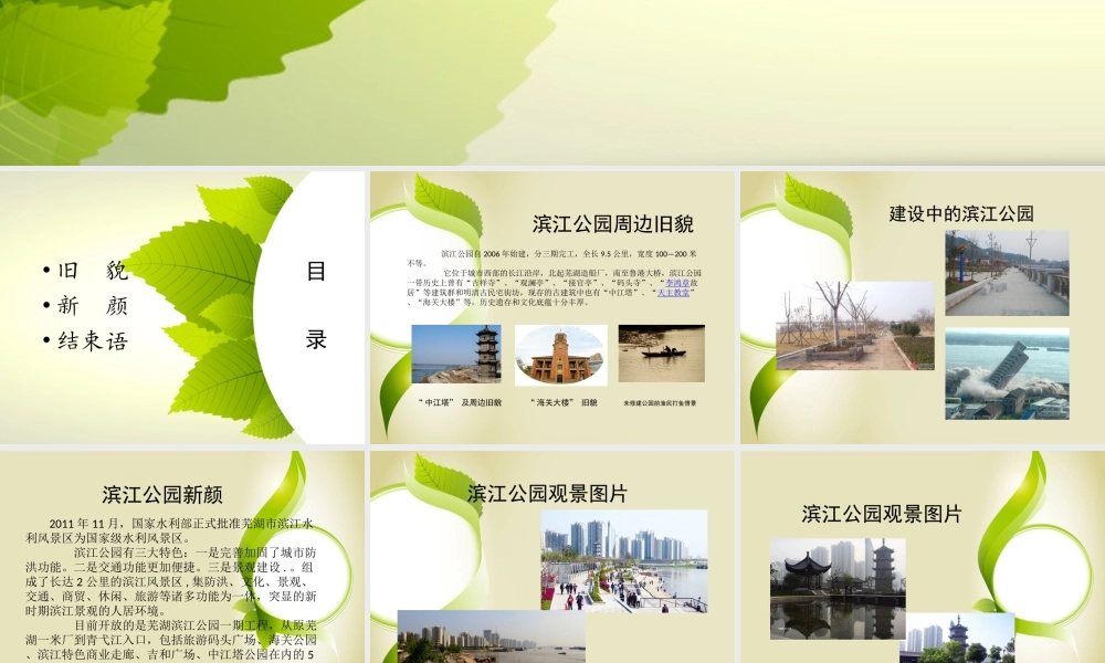 滨江公园旧貌与新颜——易菲雪