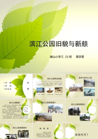 滨江公园旧貌与新颜——易菲雪