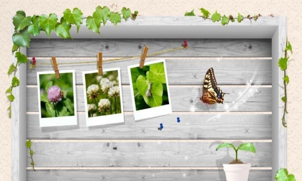 模板(春天主题)