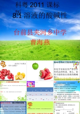 溶液的酸碱性课件