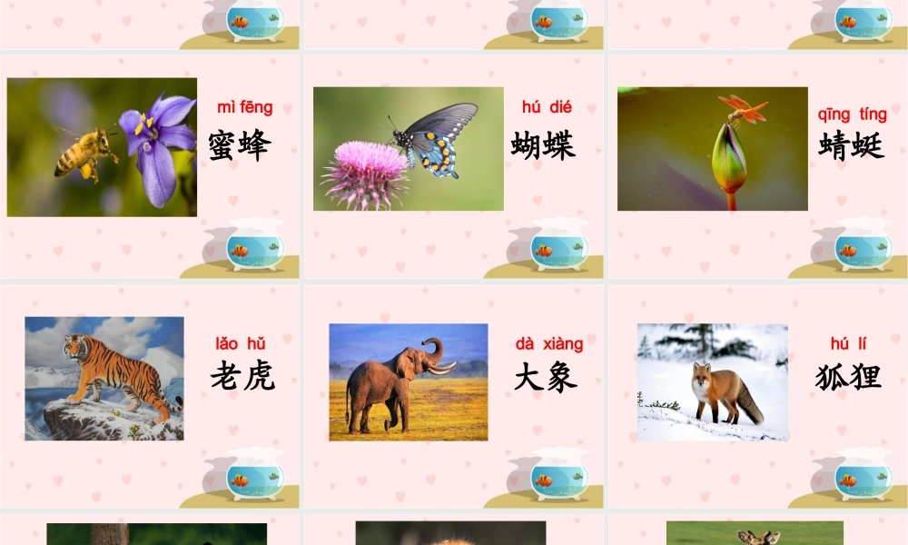 《识字二（1）》教学课件