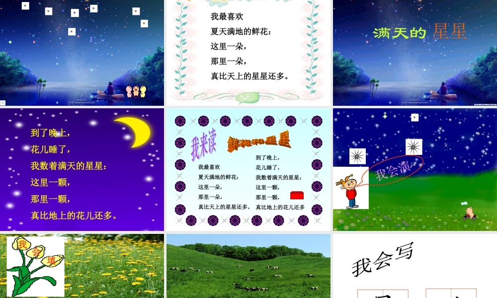 鲜花和星星 (2)