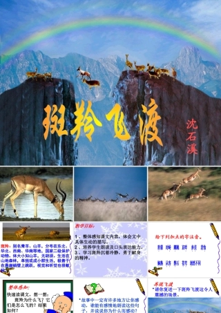 斑羚飞渡课件0526新