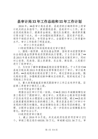 县审计局XX年工作总结和XX年工作计划 