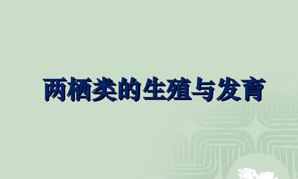 两栖动物的生殖