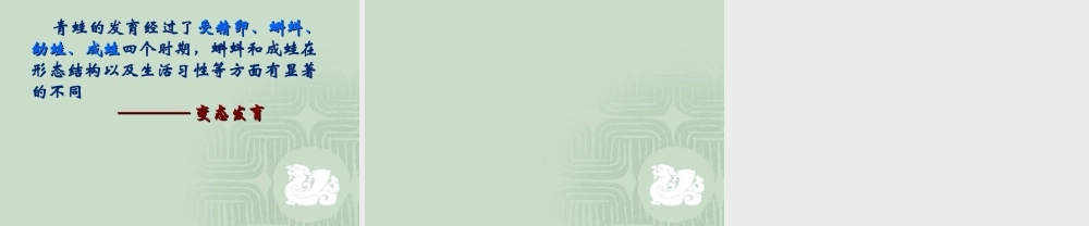 两栖动物的生殖