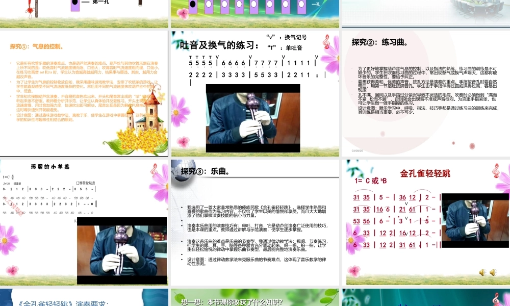 《葫芦丝演奏的入门练习》教学设计