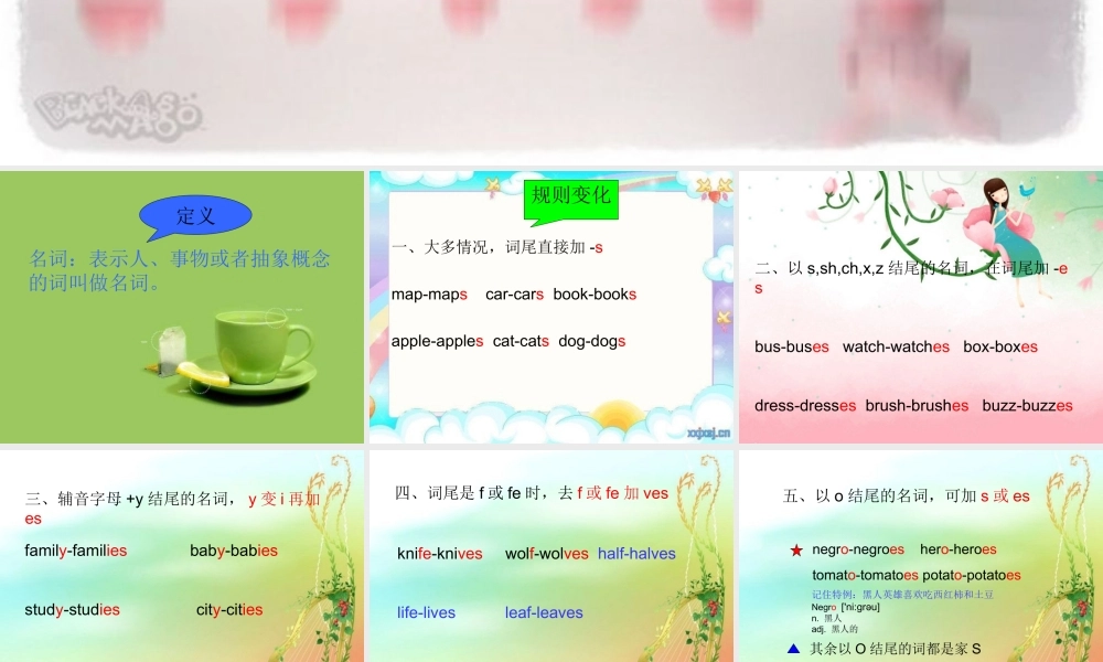 名词复数形式变化规则