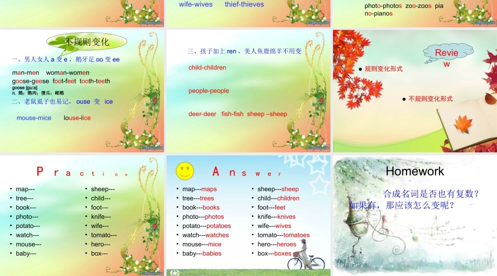 名词复数形式变化规则