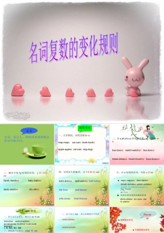 名词复数形式变化规则