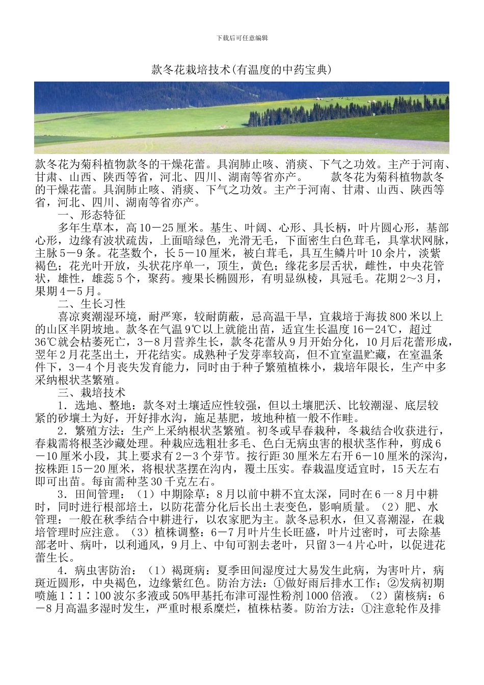 款冬花栽培技术_第1页