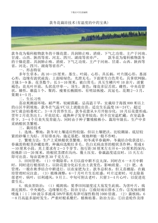 款冬花栽培技术