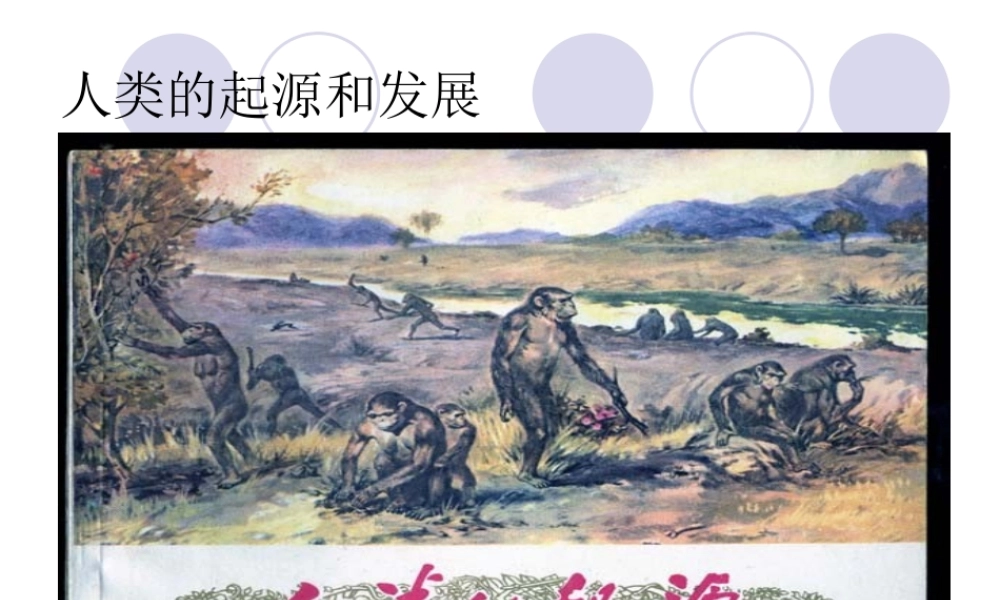 人类的起源和发展