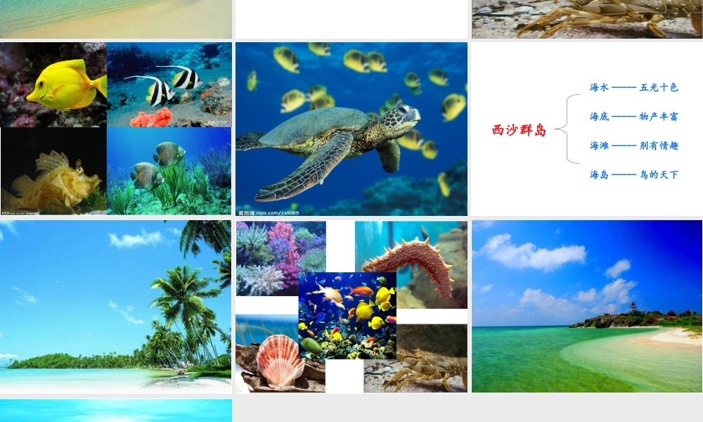人教版小学语文三年级上册《富饶的西沙群岛》