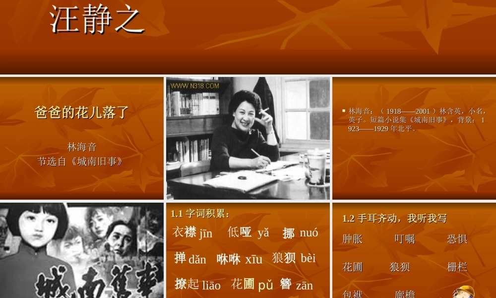 爸爸的花儿谢了
