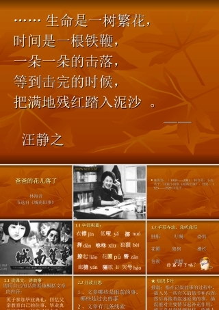 爸爸的花儿谢了