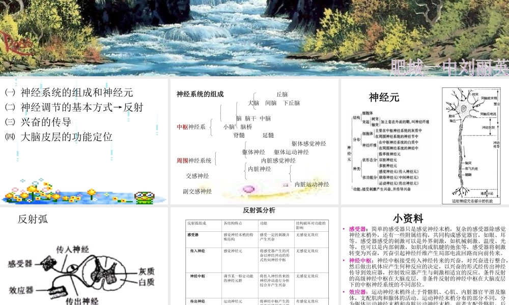 神经调节PPT课件