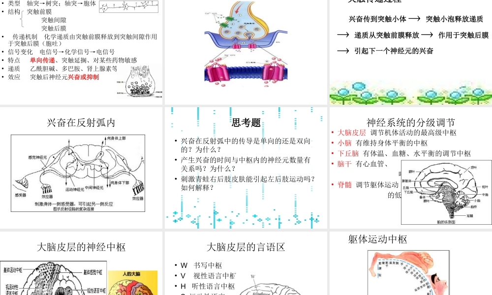 神经调节PPT课件