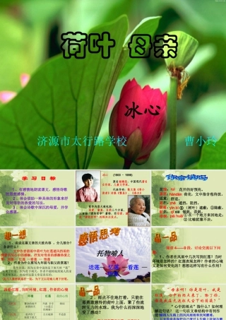 《荷叶母亲》公开课课件