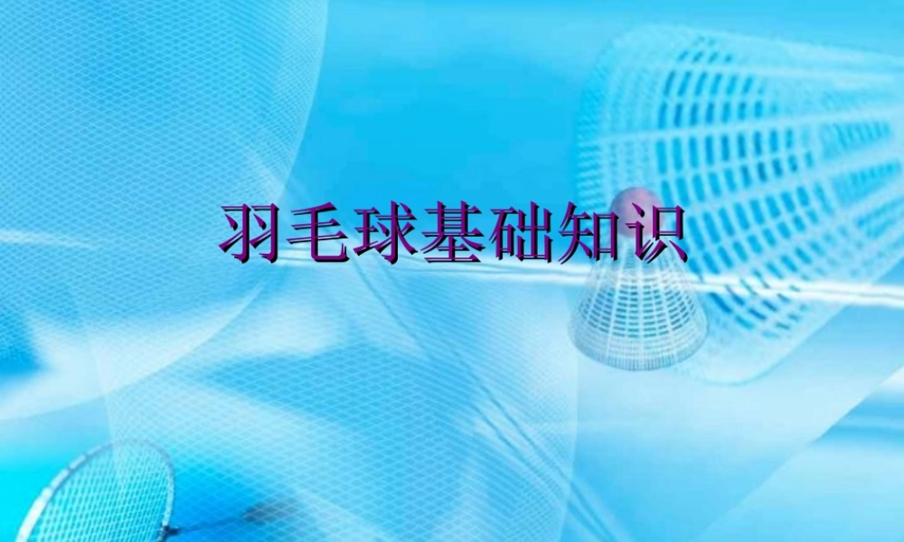 羽毛球基本知识